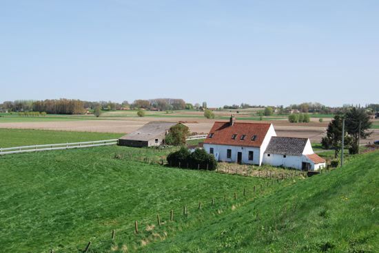 Ferme vendu À Kruishoutem