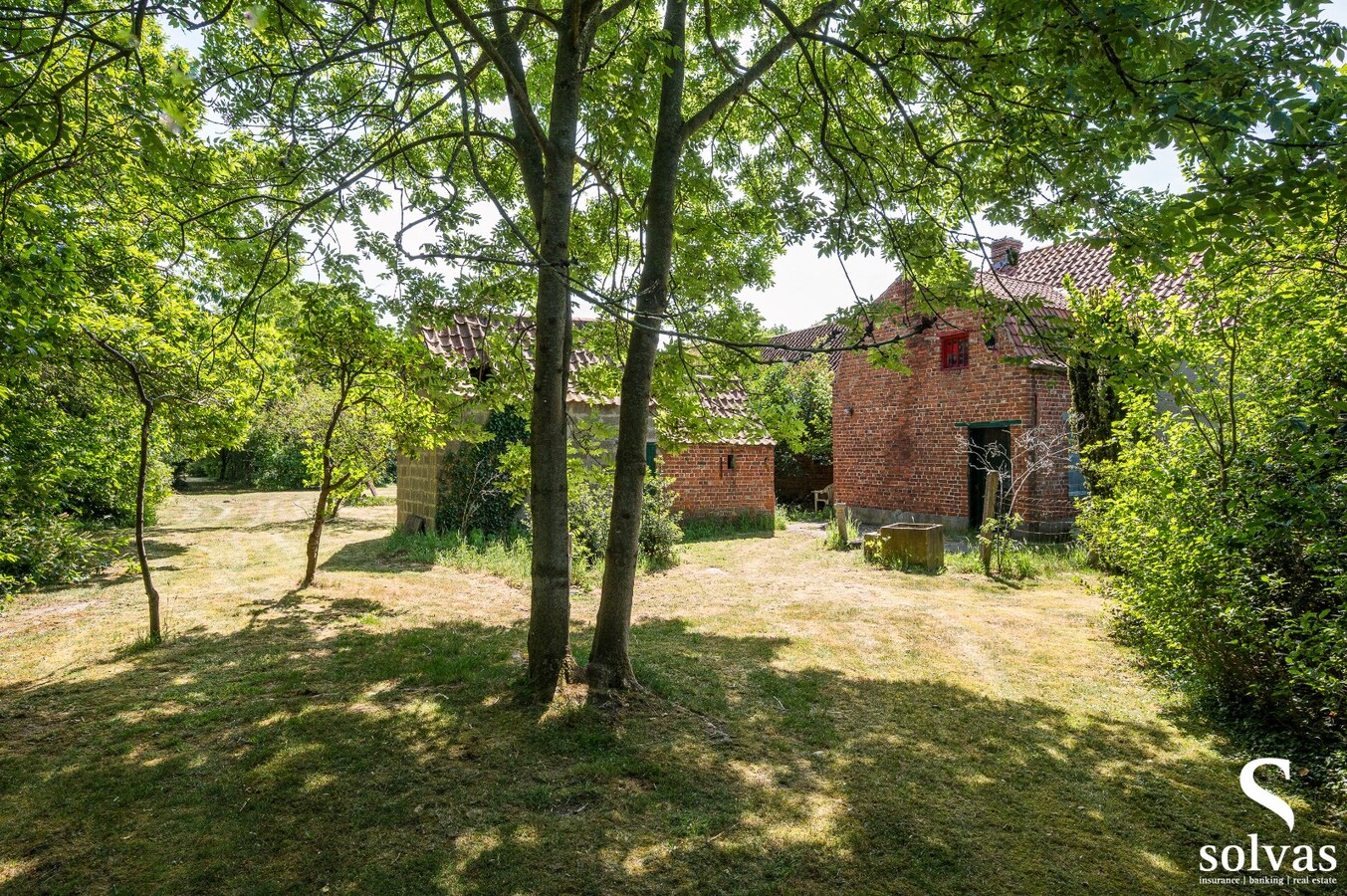 Hoeve en bijgebouwen op een riant perceel van maar liefst 9000 m&#178; 