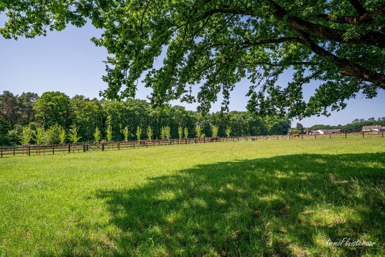 Complete horse accommodation on approximately 3.5 hectares in Helchteren 