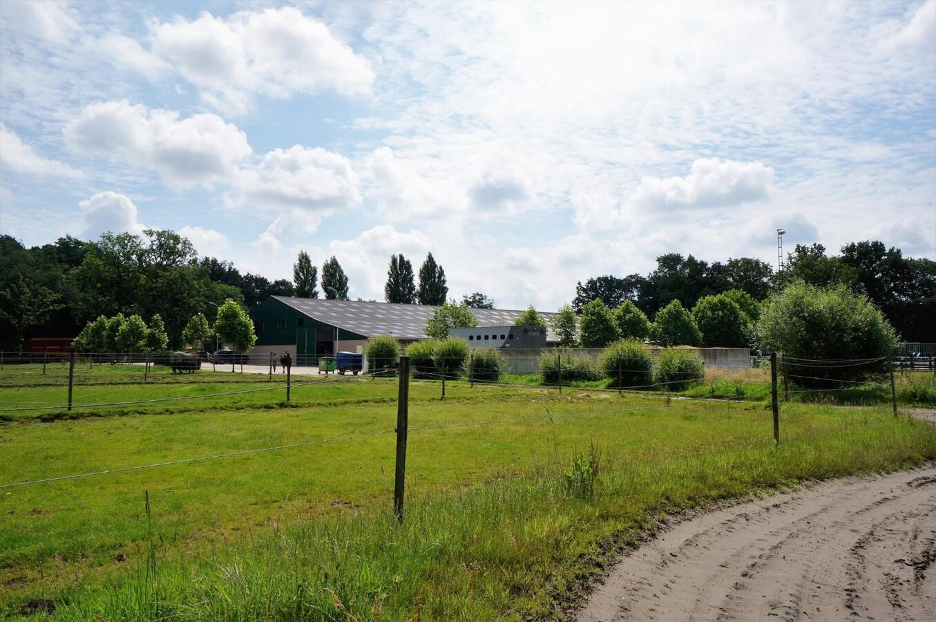 Farm sold in Merksplas