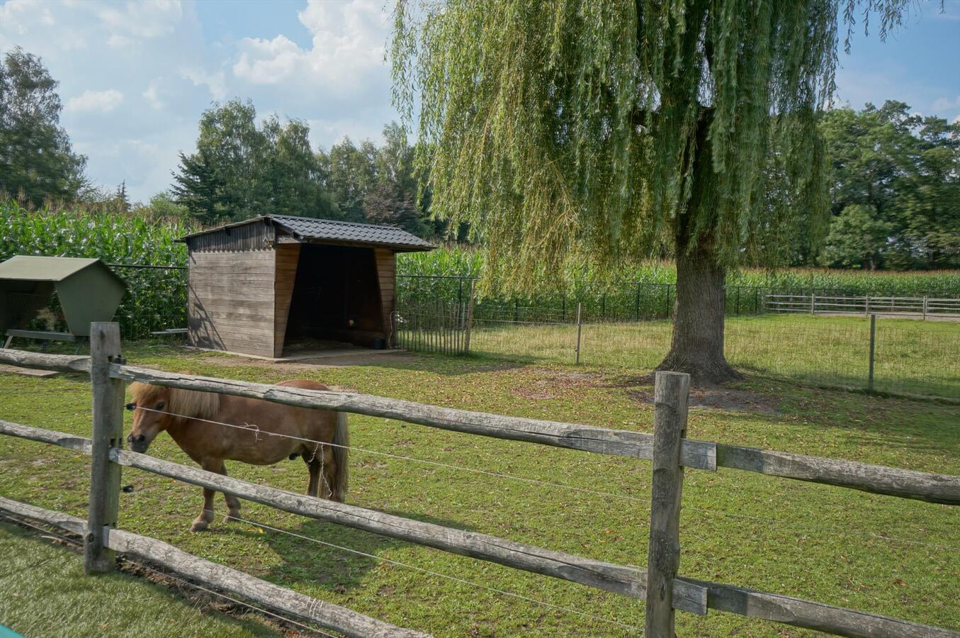 Landhuis met stallen, piste en weide op ca. 3800m&#178; te Neerpelt (Limburg) 