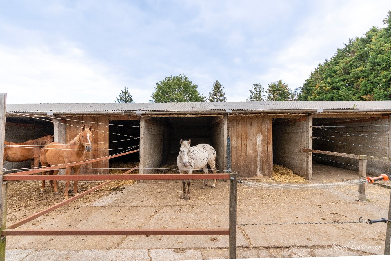 Paardenaccommodatie met 46 stallen, buitenpiste en hangaar op ca. 55 are te Linkhout (Lummen) 