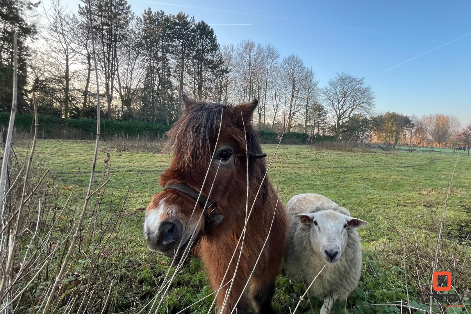 Charmante hoeve met landbouwgrond op gunstige locatie 