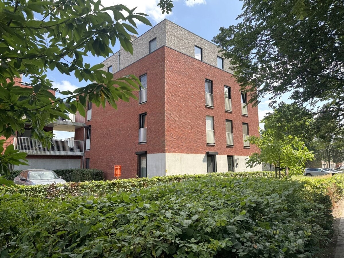 Benedenwoning te huur in Turnhout