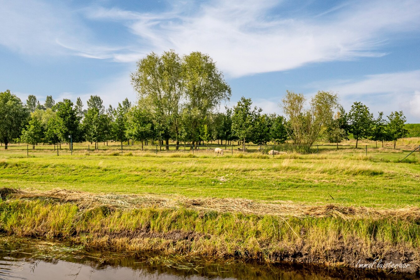 Karaktervolle eigendom met tal van professionele mogelijkheden te Zeeuws-Vlaanderen 