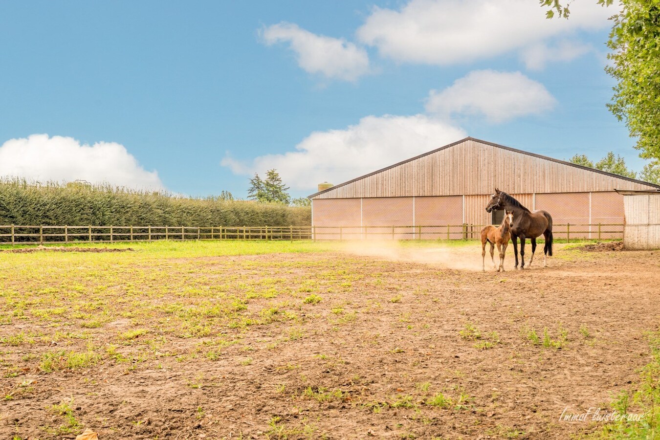 Charmante hoeve met paardenfokkerij op ca. 4,5 Ha te Noorderwijk 