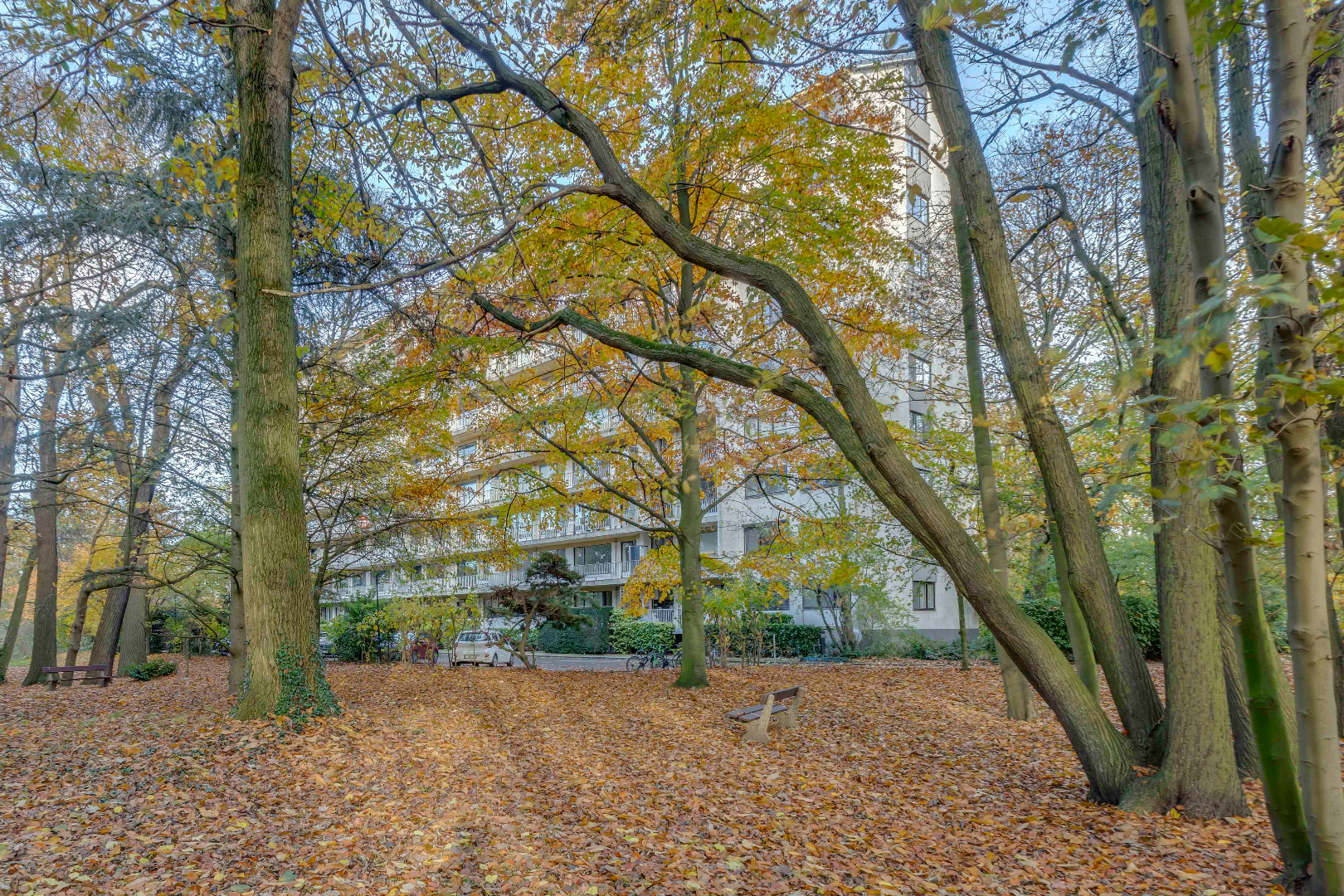 Dakappartement met verzicht, 2 slaapkamers en terras. 