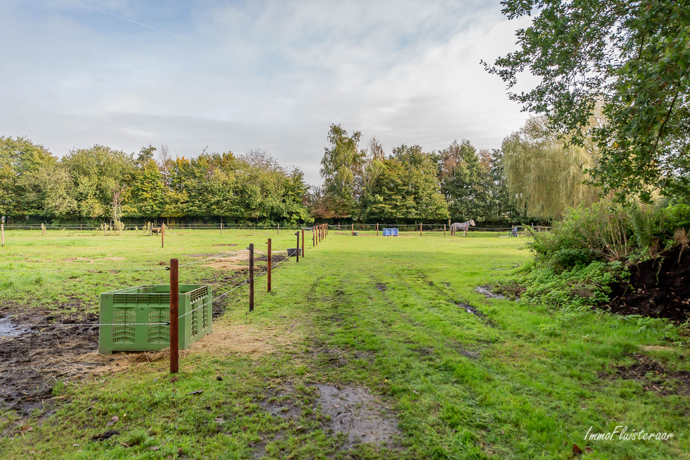 Rustieke woning met paardenfaciliteiten op ca. 1,3Ha te Weelde 