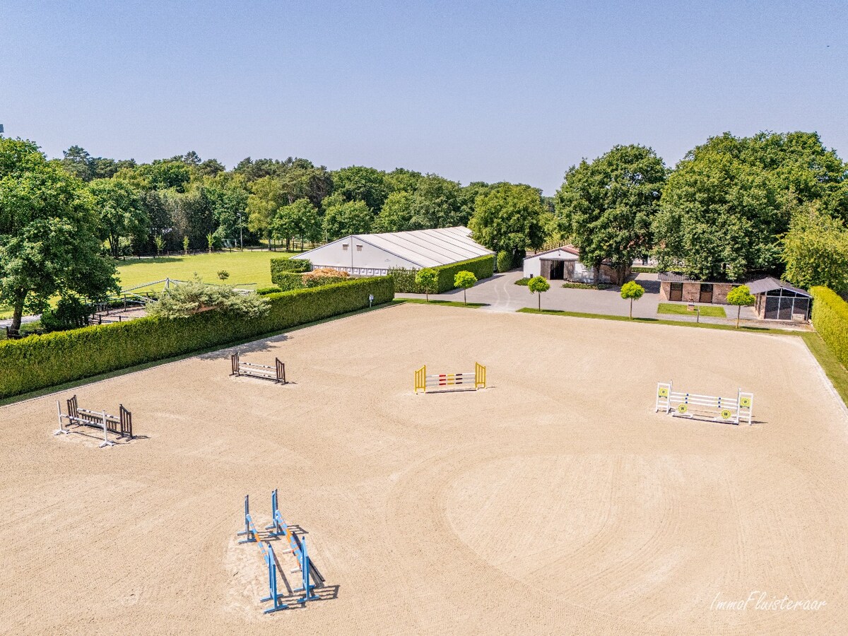 Complete horse accommodation on approximately 3.5 hectares in Helchteren 