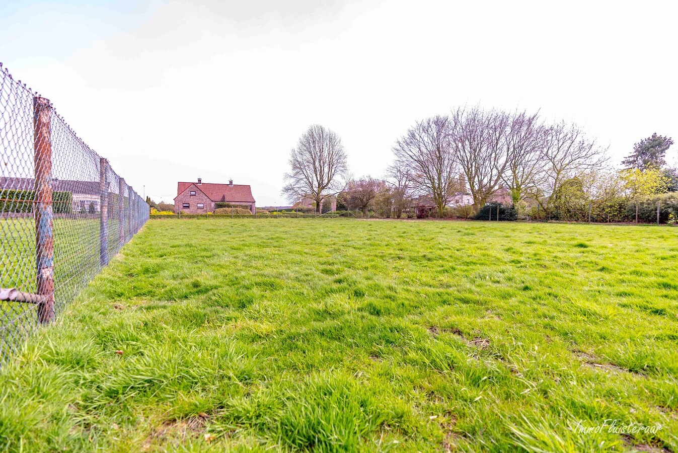 Grande maison avec des prairies et une serre sur environ 1,2 ha &#224; Hoogstraten 