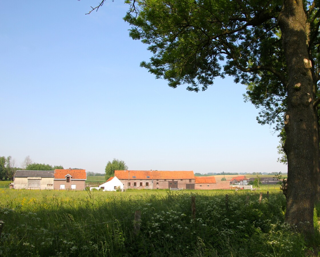 Authentieke boerderij van ongeveer 1,4ha aan de voet van de Vlaamse Ardennen 