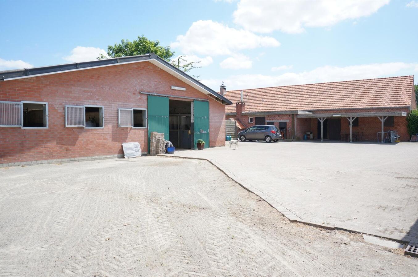 Hoeve met binnenpiste en stallen op ca. 3,36 ha te Lommel (Kerkhoven) 