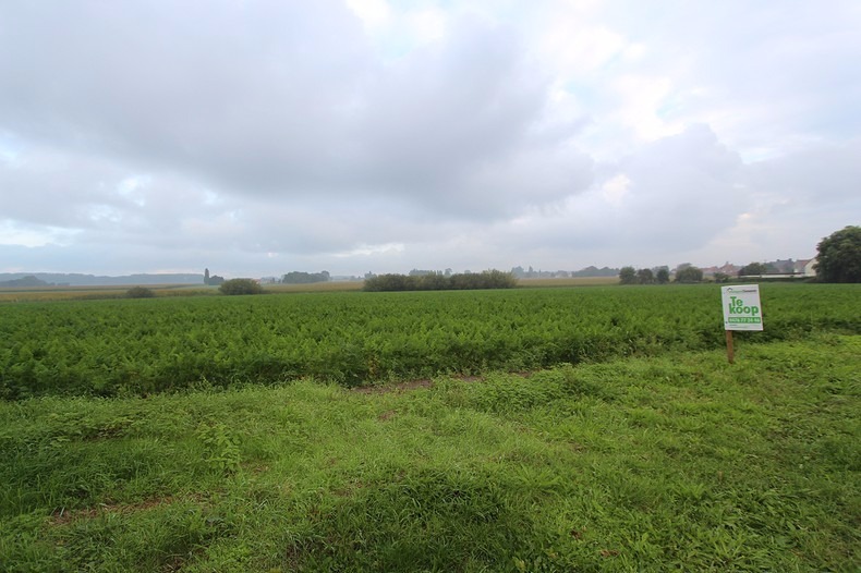 Perceel bouwgrond voor open bebouwing te Koekelare 