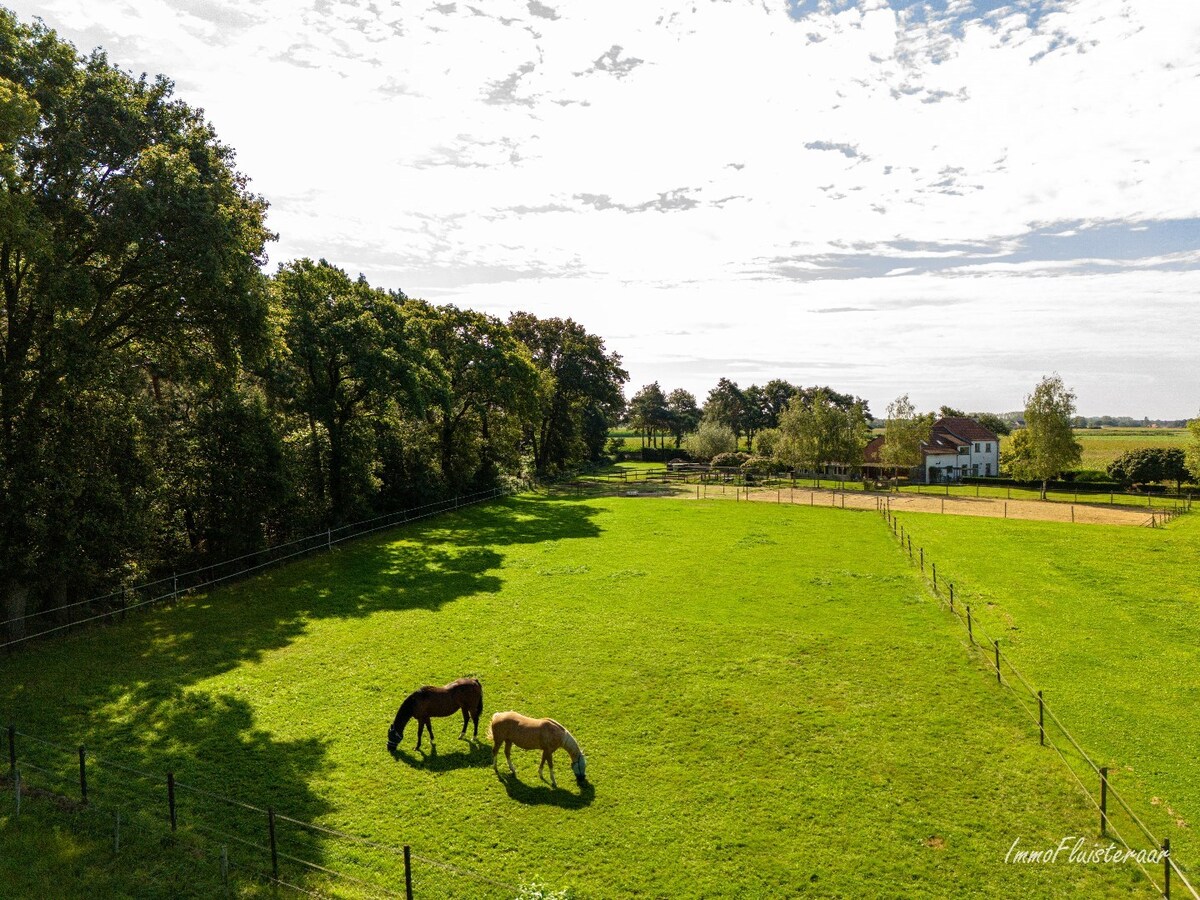 Recent gerenoveerde woning op ca. 1ha15 met paardenfaciliteiten te Bree 