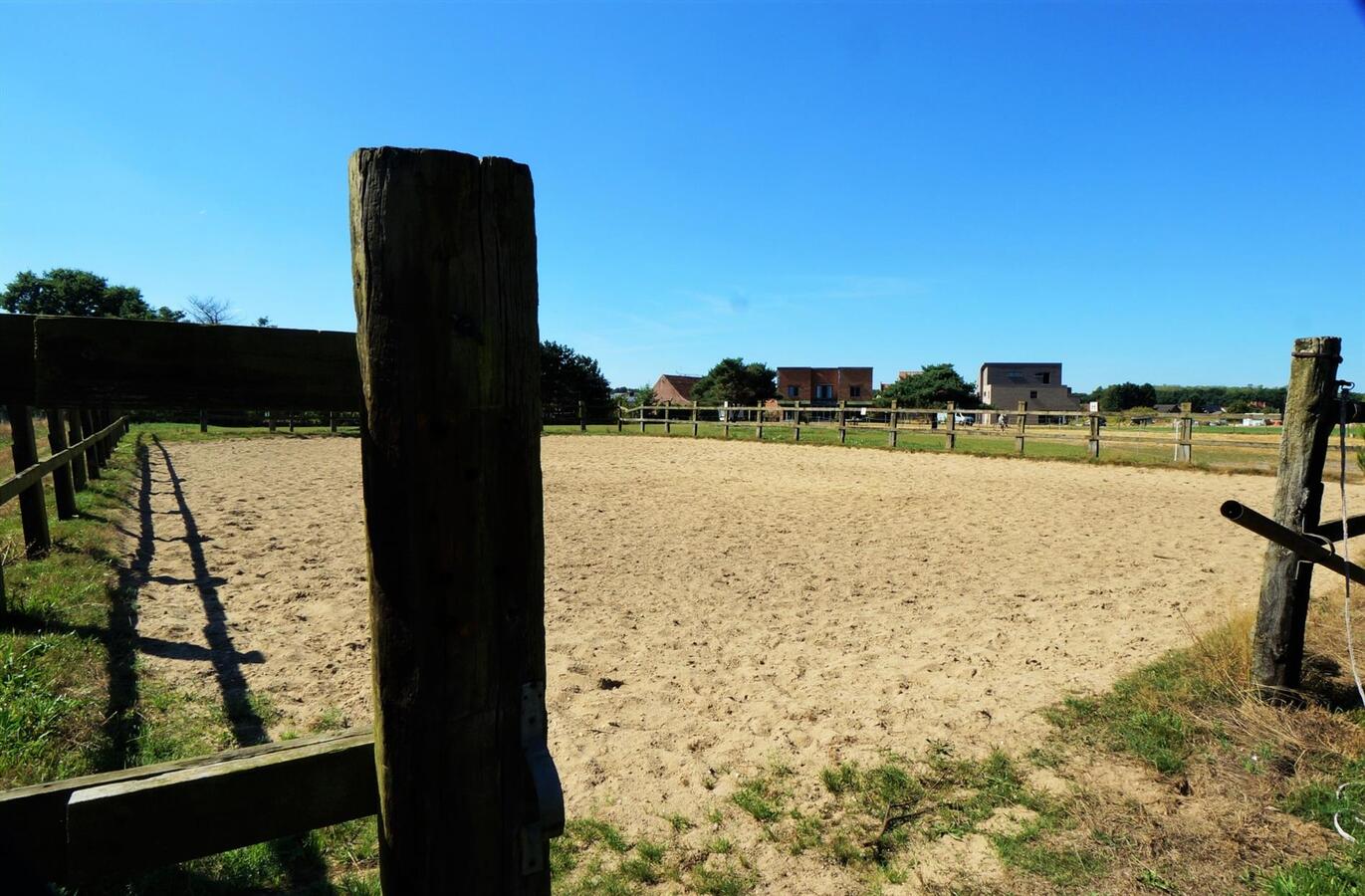 Recente woning op magnifieke locatie met 3 paardenstallen, buitenpiste en weides op ca. 96are te Opoeteren 