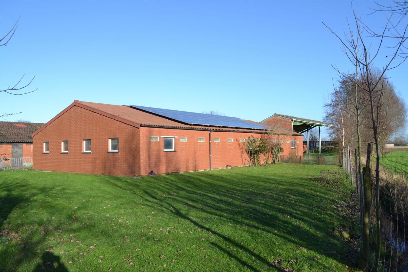 Hoeve met stallen op ca. 2Ha te Nieuwkerken-Waas (uitbreiding tot 4,5Ha mogelijk) 