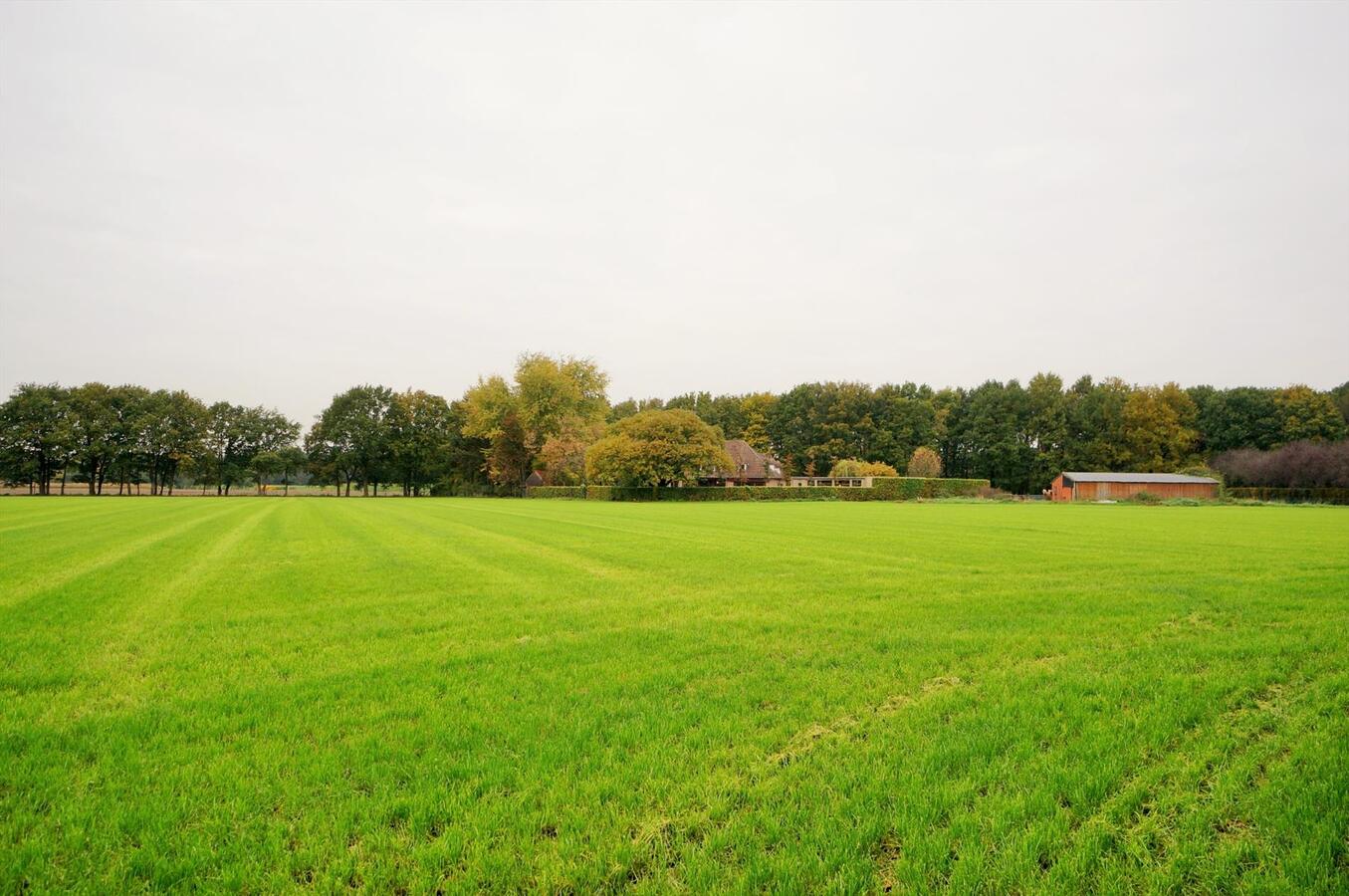 Prachtig landhuis met 5 stallen en weide op ca. 1,4 ha te Westerlo 