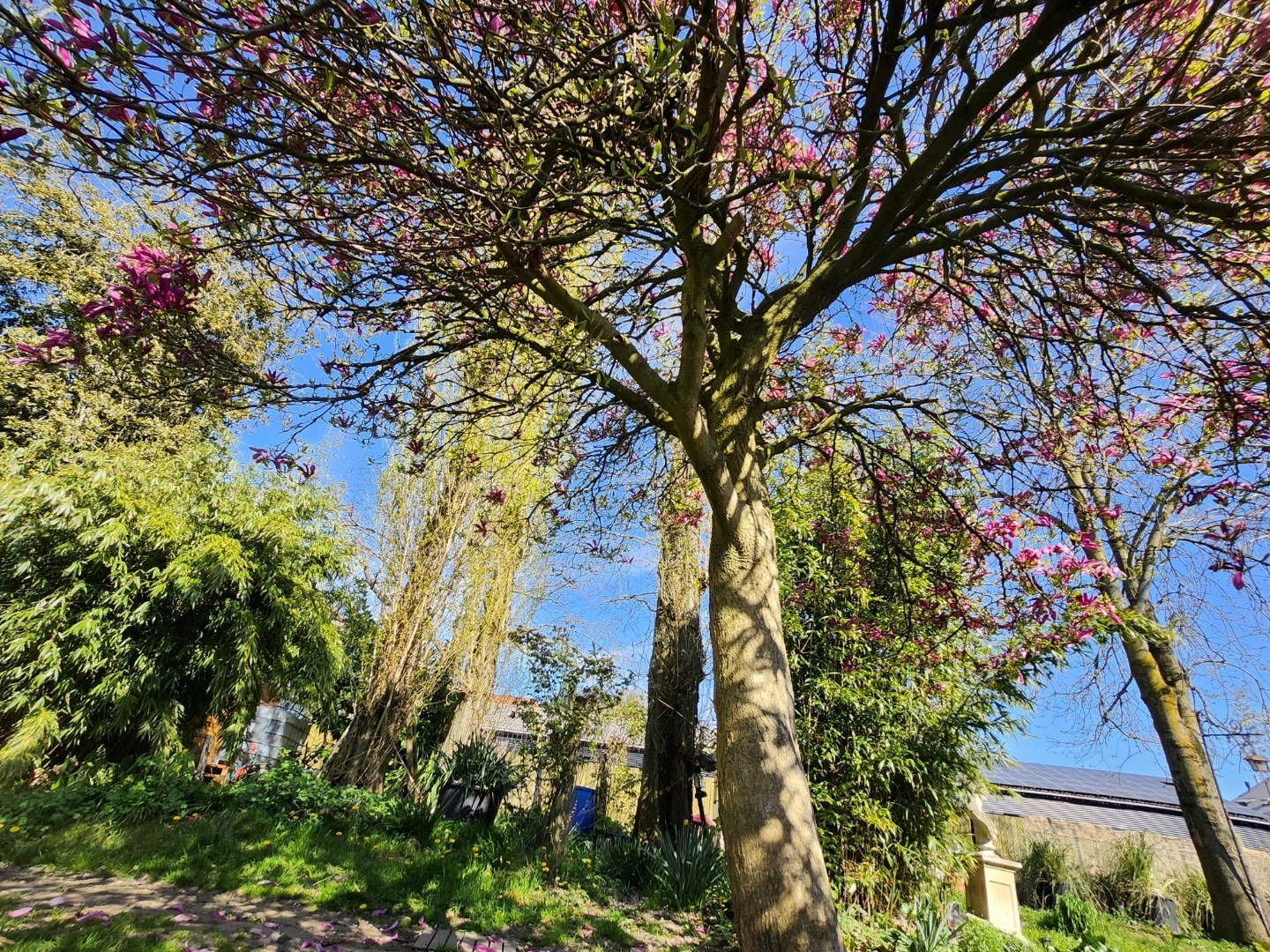 Charmante, instapklare woning met grote stadstuin 