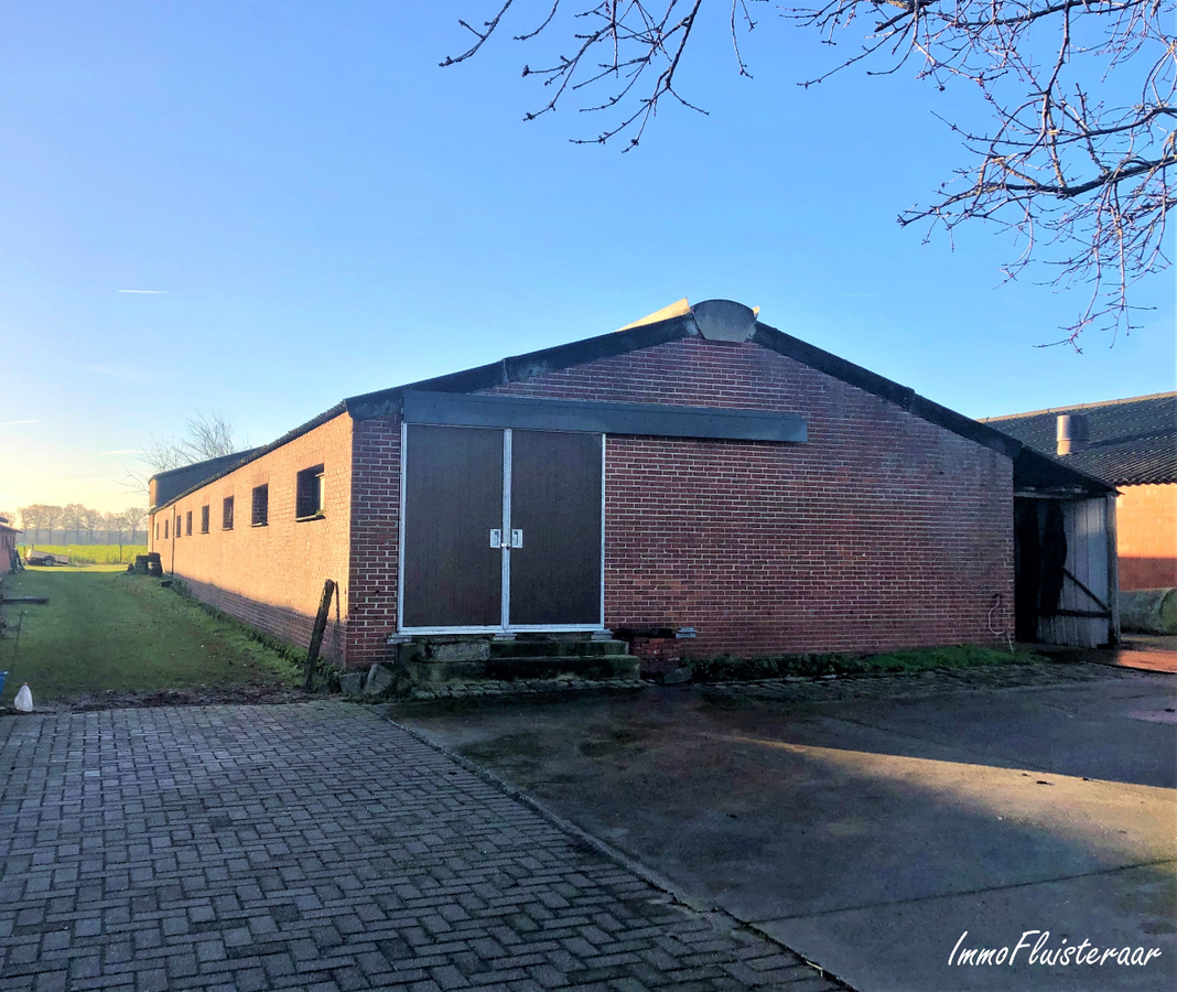 Boerderij met stalgebouwen en weilanden op ca. 1,17ha met uitbreidingsmogelijkheden van 5ha te Bree 