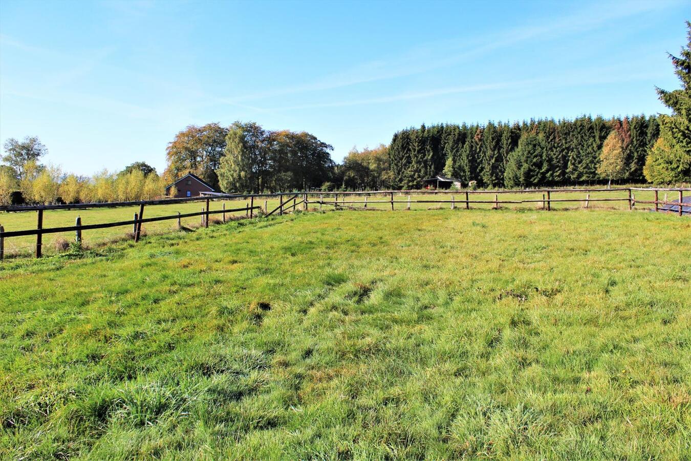 Villa avec boxes, piste ext&#233;rieure et p&#226;tures sur environ 1.9ha &#224; Malmedy (Li&#232;ge) 