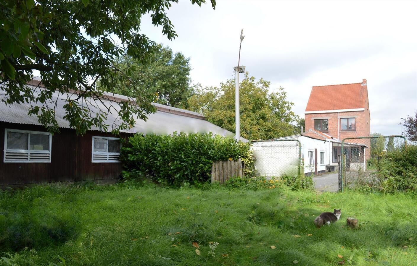 Te renoveren woning met loods en weide op 7.327m&#178; te Zele 