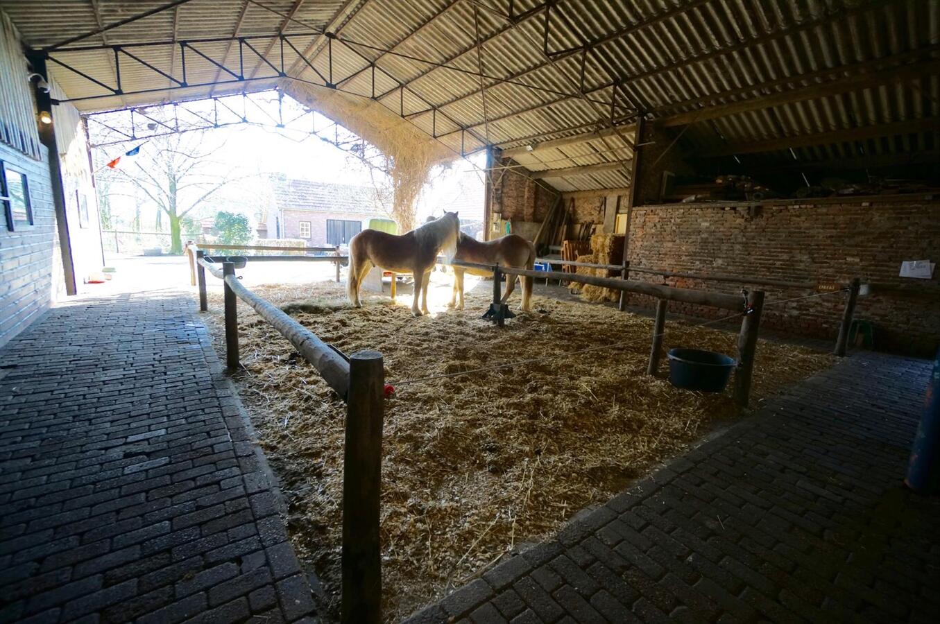 Hoeve met stallen en weide op ca. 1,12 ha te WEELDE 