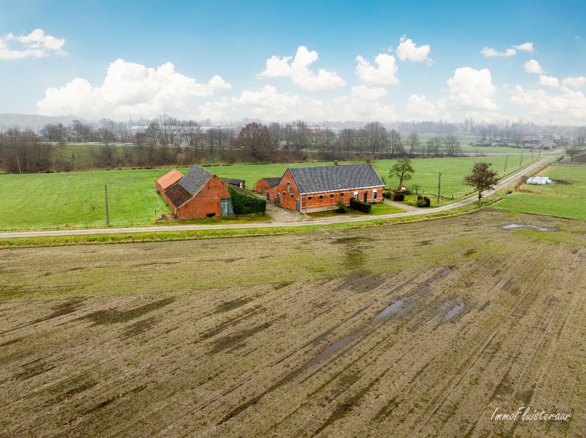 Karakteristieke hoeve met grote schuur op ca. 2 ha te Hoogstraten (Aankoop extra overliggend weiland van ca. 4 ha mogelijk) 