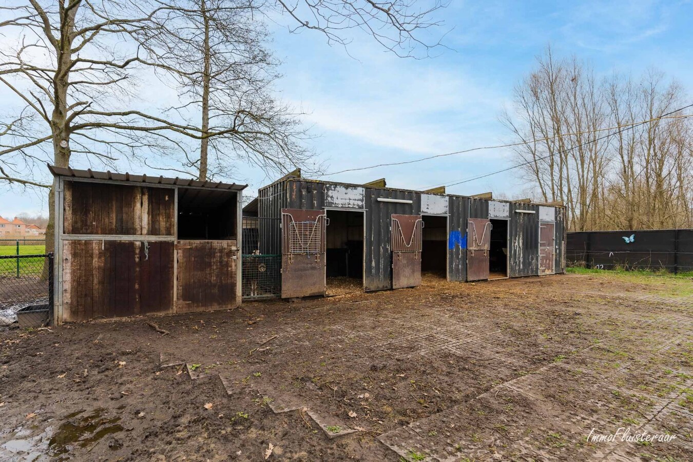 Charmante gelijkvloerswoning met stallen op ca. 1,3 Ha te Schriek 