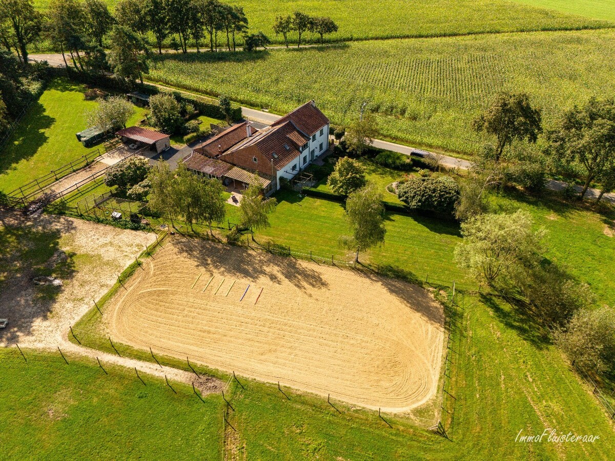 Recent gerenoveerde woning op ca. 1ha15 met paardenfaciliteiten te Bree 