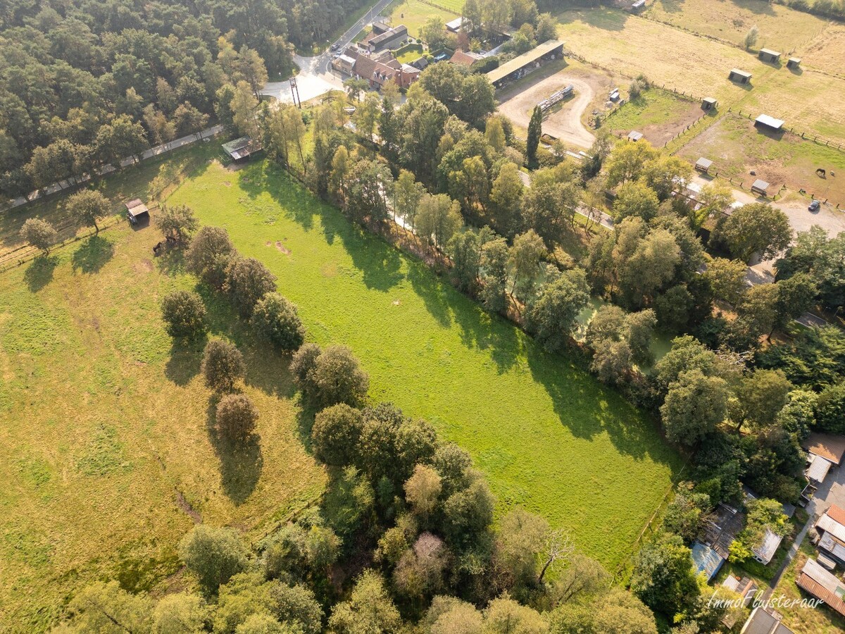 Woonhuis met een weide op ca. 68 are in een bosrijke omgeving te Beverlo 