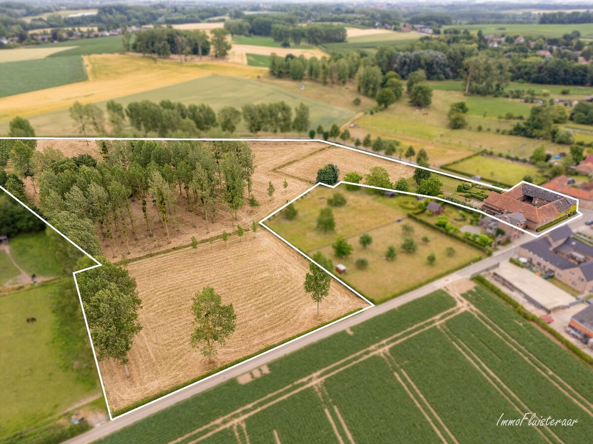 Charmante vierkantshoeve met veel potentieel op ca. 3,14 ha te Tongeren 
