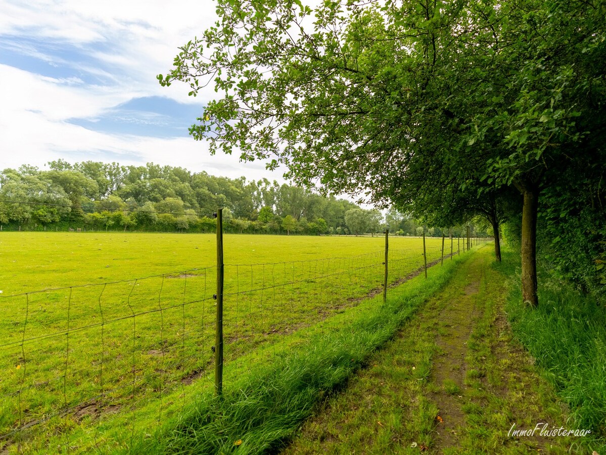 Beautiful house with a panoramic view over meadows and forests on approximately 3.5 hectares in Heist-op-den-Berg. 