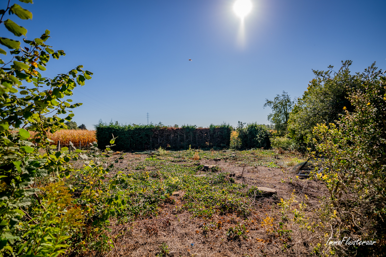 Te renoveren landelijke woning met aanhorigheden en weiland op ca. 1,2ha te Kersbeek-Miskom (Kortenaken; Vlaams-Brabant) 