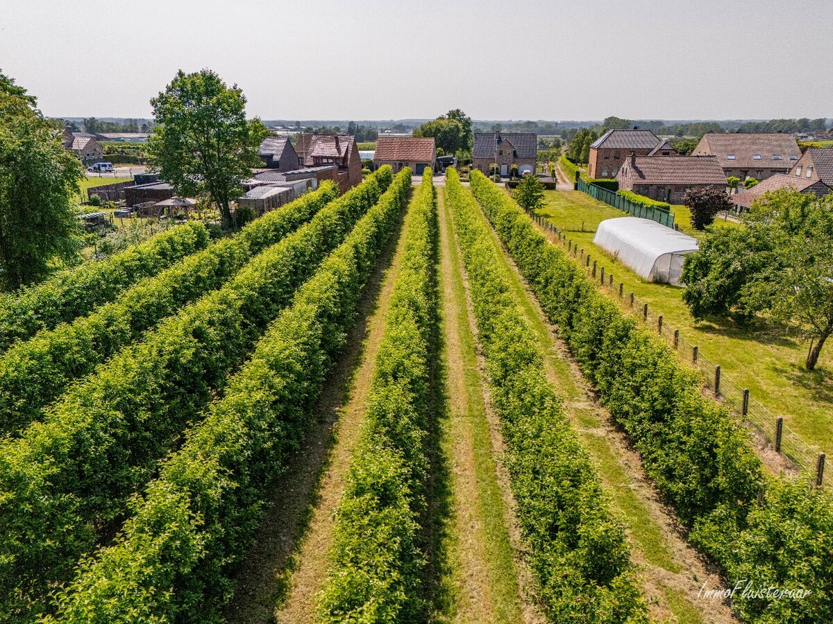 Land for sale in Herk-de-Stad