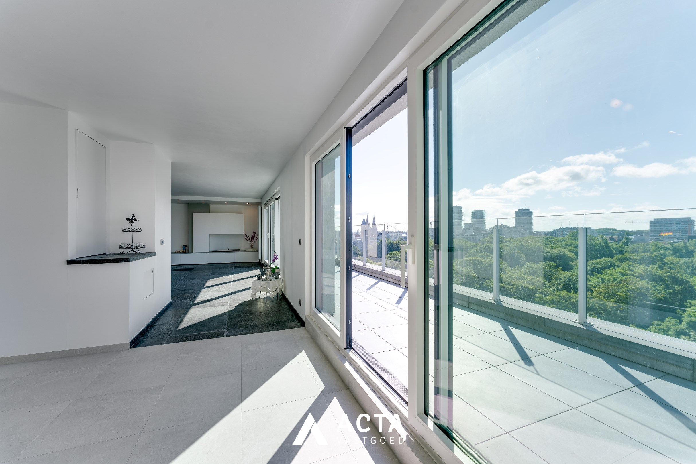 Gerenoveerde penthouse met drie slaapkamers aan het Leopoldpark 
