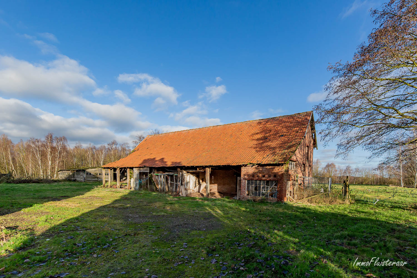 Charmante te renoveren hoeve op ca. 1Ha te Beerse 