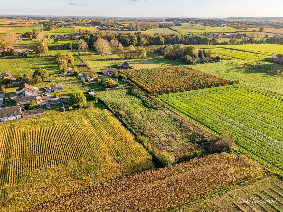 Charmante woning op een ruim perceel van ca. 78 are te Loksbergen (Halen) 