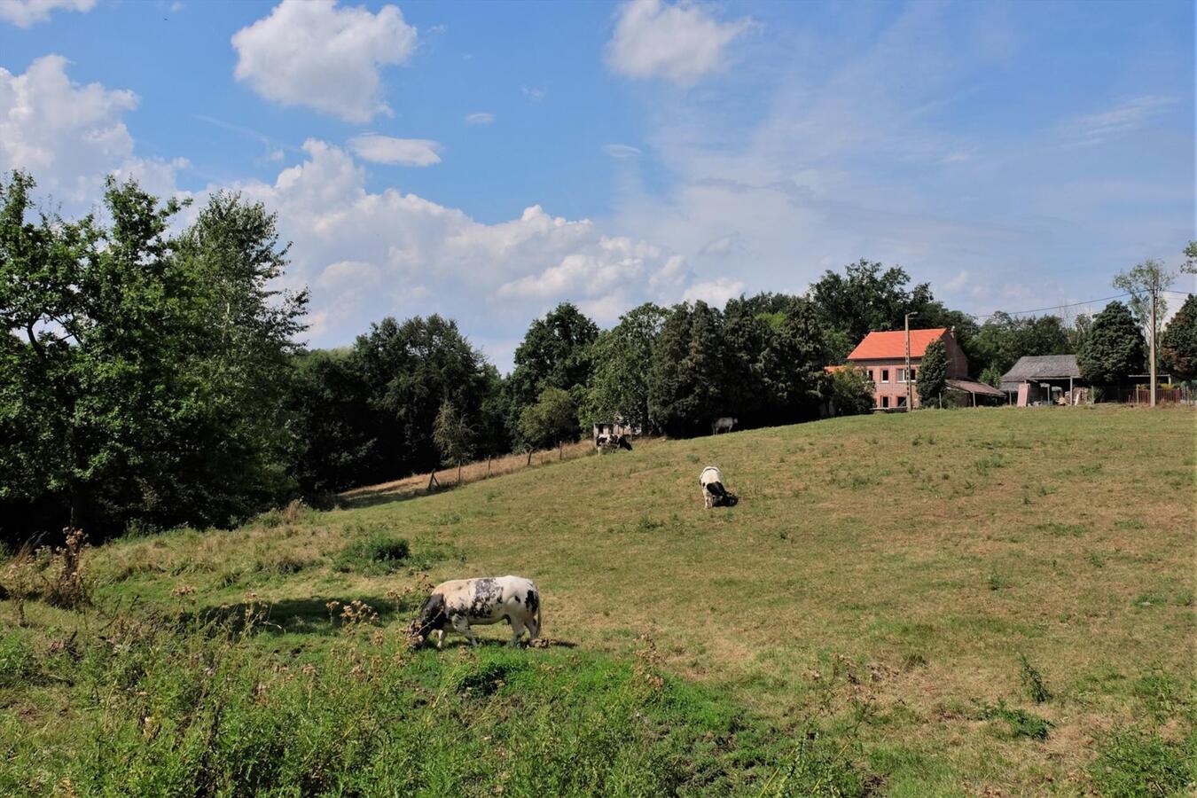 Te renoveren boerderij met weilanden op ca. 1,8ha te Boutersem (Vlaams-Brabant) 