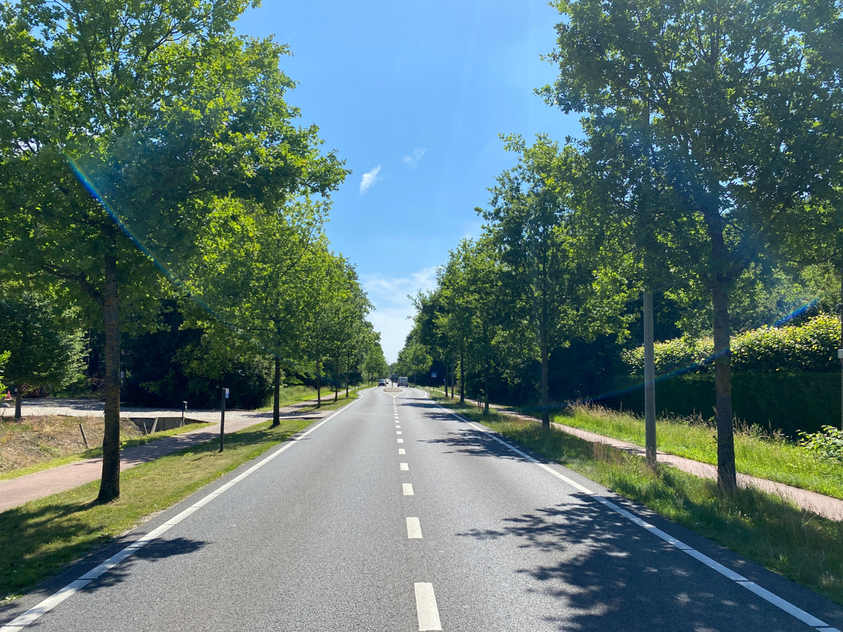 Uitzonderlijk rustig gelegen perceel van 2.500 m&#178; met priv&#233; oprijlaan van ca. 60 m grenzend aan natuurgebied te Brecht. 