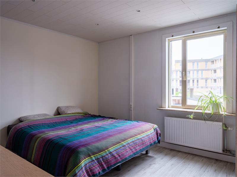 Ruim wonen in groene buurt 