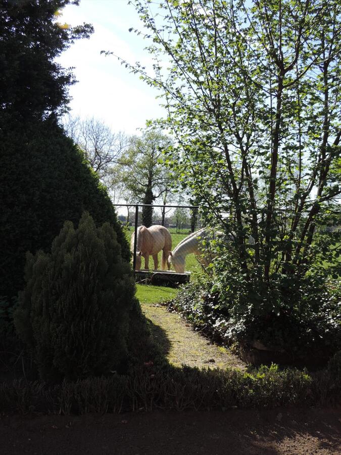 Karaktervolle hoeve met aanpalende paardenstallen op ca. 1,36ha te Ham 