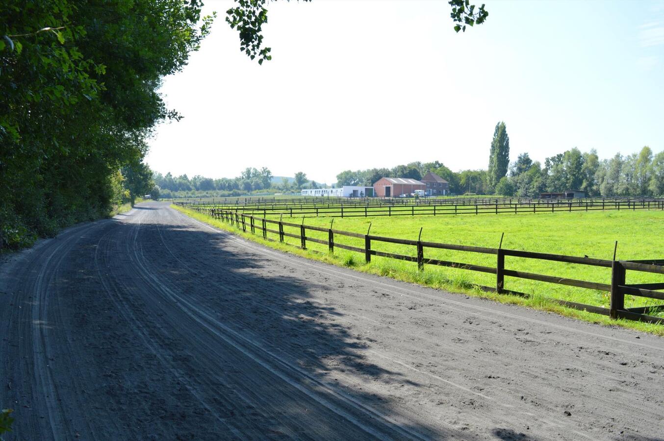 Paardenhouderij met 40 stallen en drafbaan op 4,64ha te Brakel 