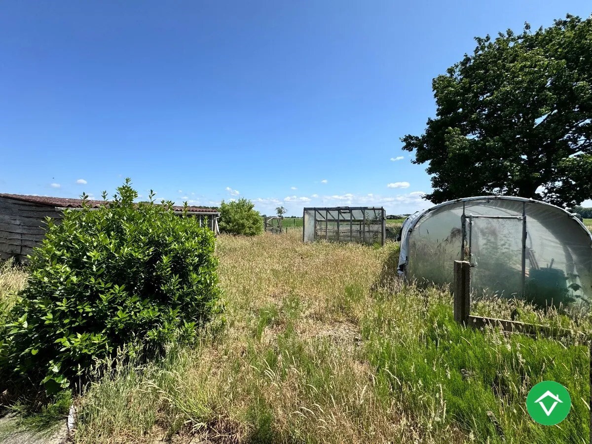 Ruime open bebouwing met 3 slaapkamers op groot perceel in Koekelare 