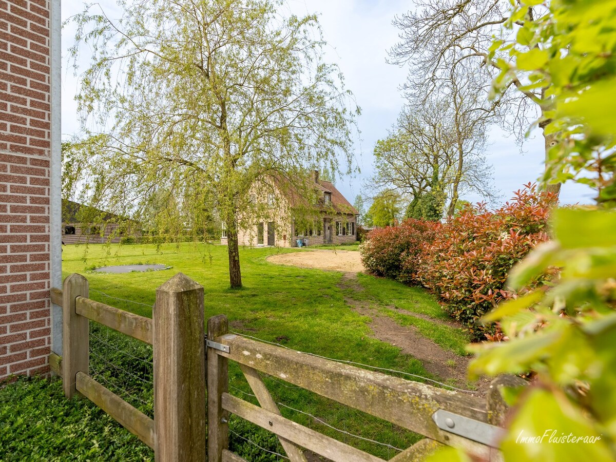 Beautiful equestrian accommodation on appr.  2.4 ha/5,94 acres in Meerle/Hoogstraten 