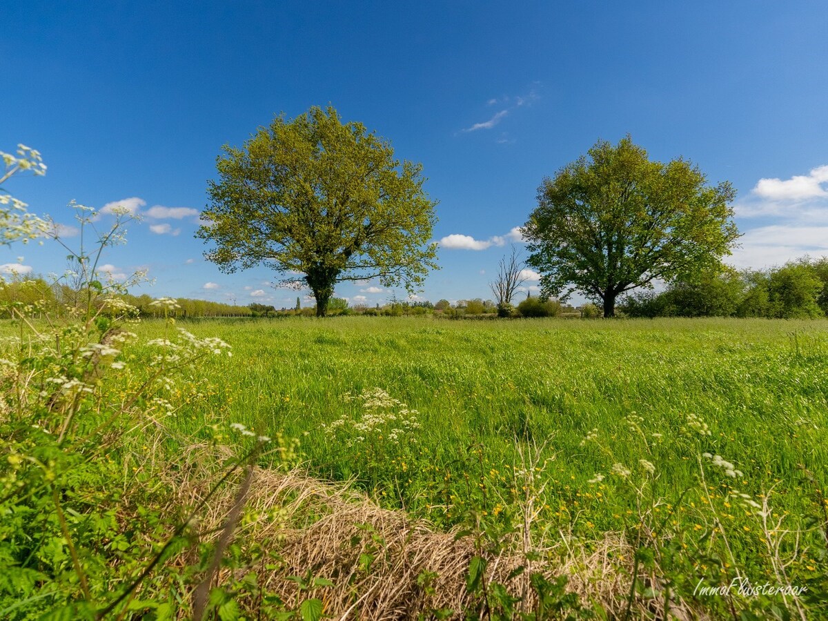 Idyllisch gelegen te renoveren hoeve te Melle op ca. 9,3ha 