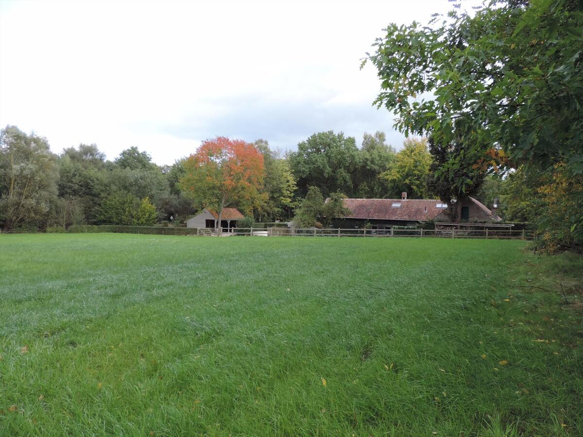 Charmant gerenoveerde hoeve met stallen en weiland op ca. 1,24ha te Zelem 