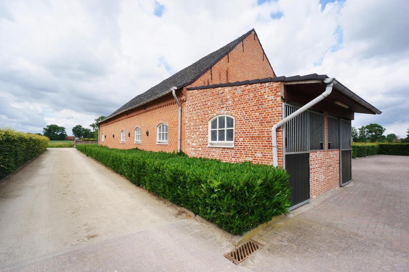 Woning met hippisch complex op 1,2ha te Ravels 