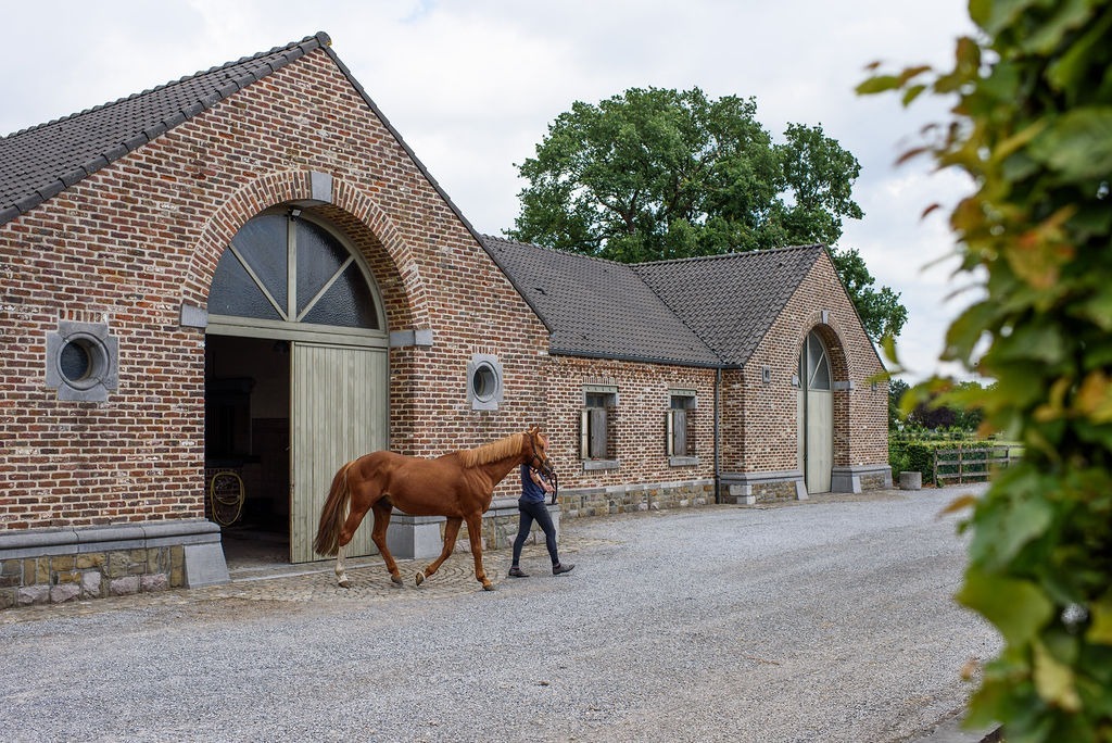 Exclusief domein met binnenpiste op ca. 20 ha te Meeuwen-Gruitrode 