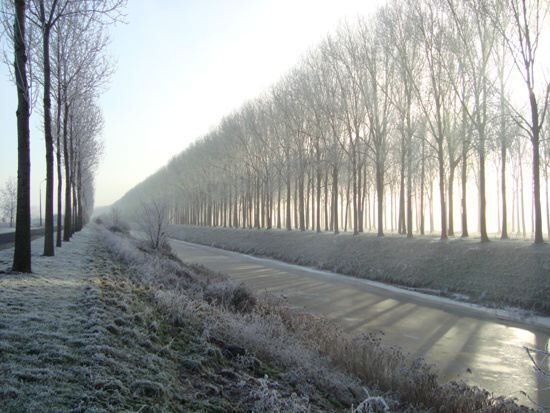 Prachtige eigendom op 1,66ha gelegen langs de vaart 