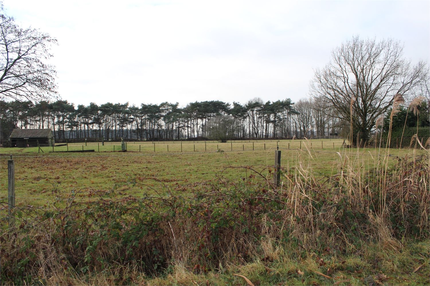 Grond verkocht in Stekene